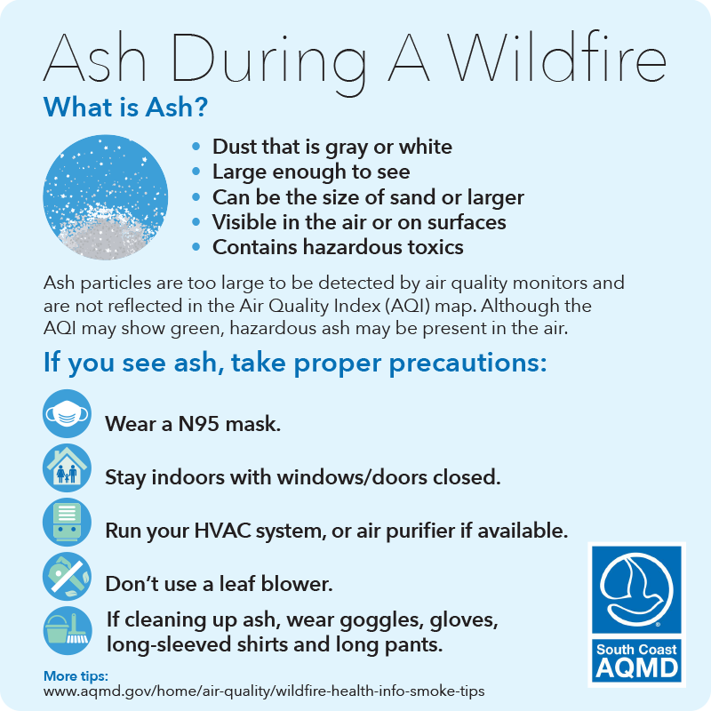 Ash Graphic English